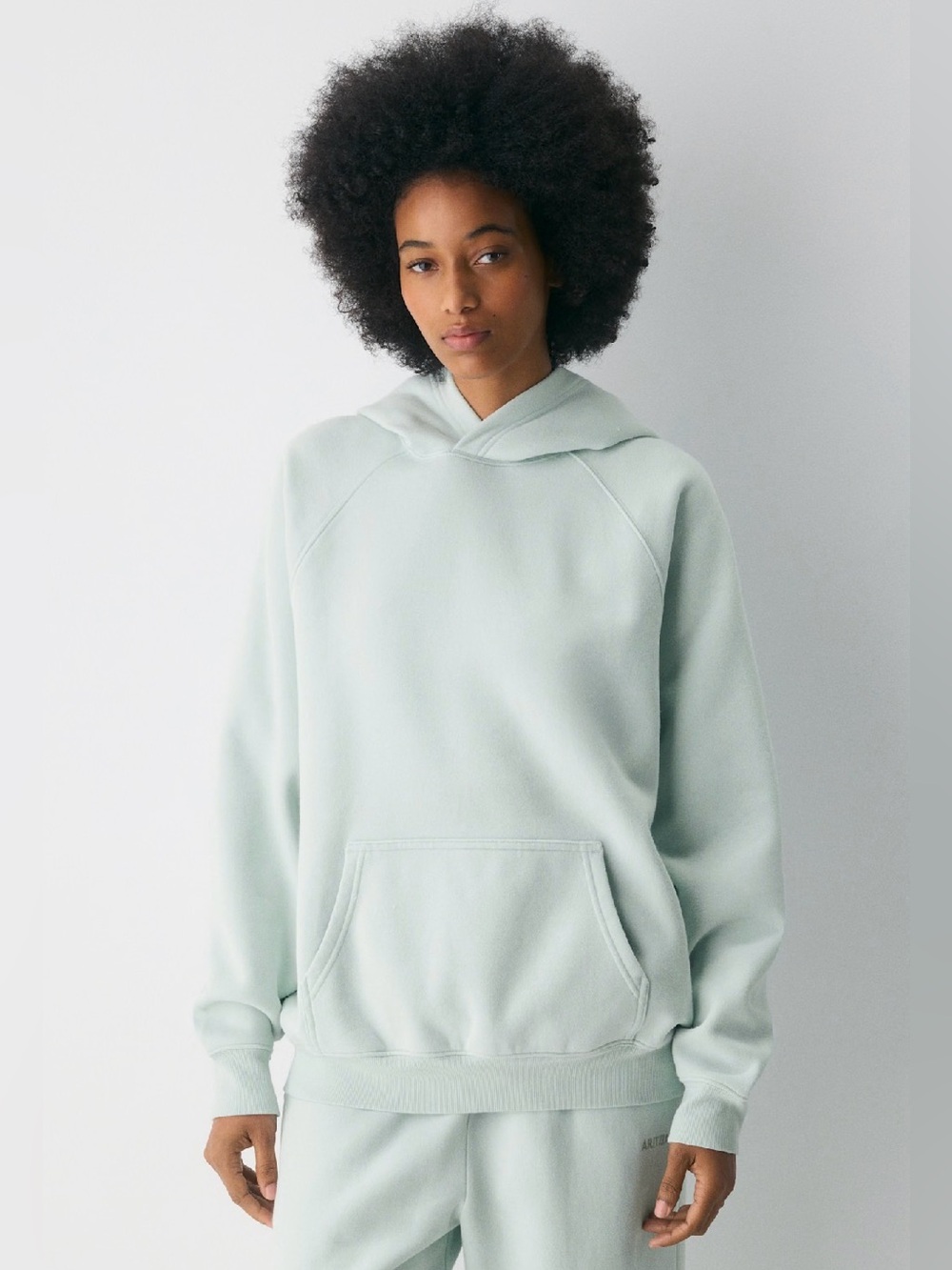Aritzia Cozy Sweatfleece Mega Raglan™ Hoodie